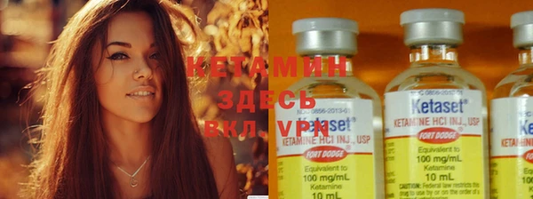 индика Дмитров