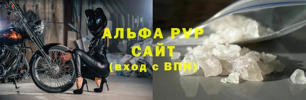 индика Дмитров