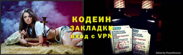 индика Дмитров
