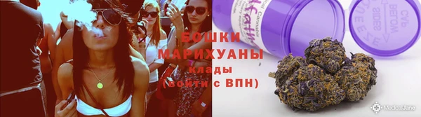 индика Дмитров