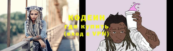 прущий лед Дмитриев