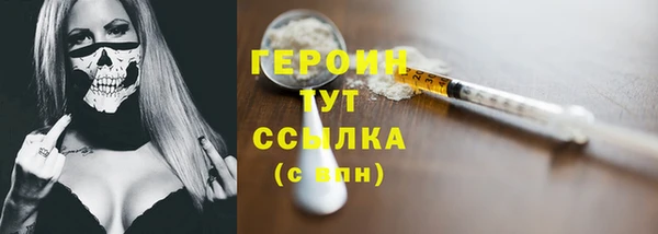 индика Дмитров