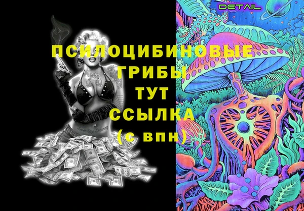 индика Дмитров