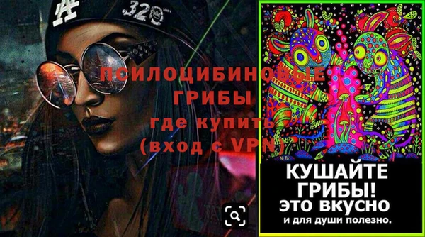 не бодяженный Дмитровск