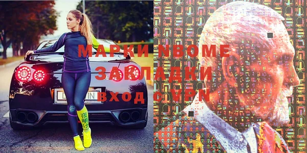 индика Дмитров