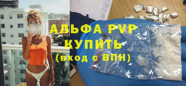 индика Дмитров