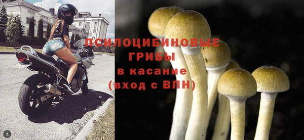 не бодяженный Дмитровск