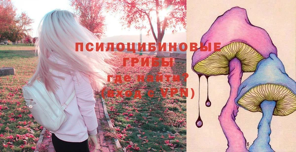 индика Дмитров