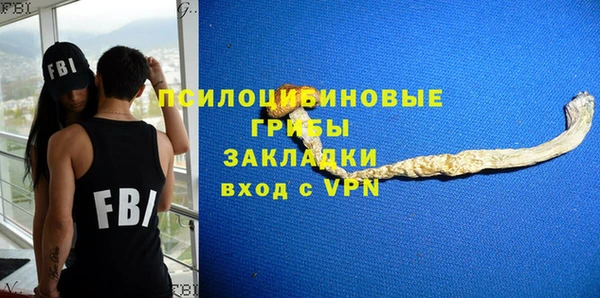прущий лед Дмитриев
