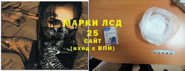 индика Дмитров